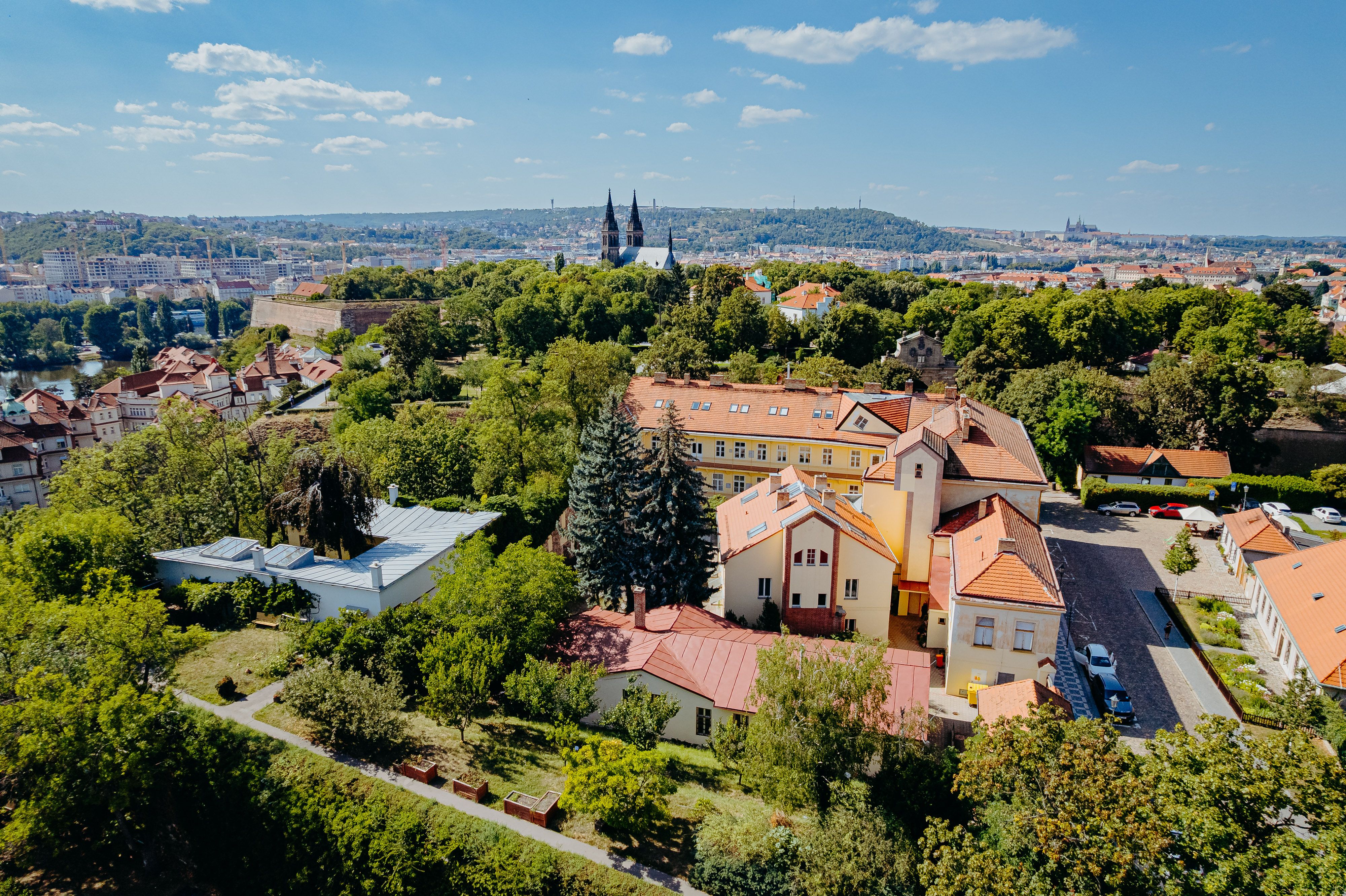 Jedlička 100