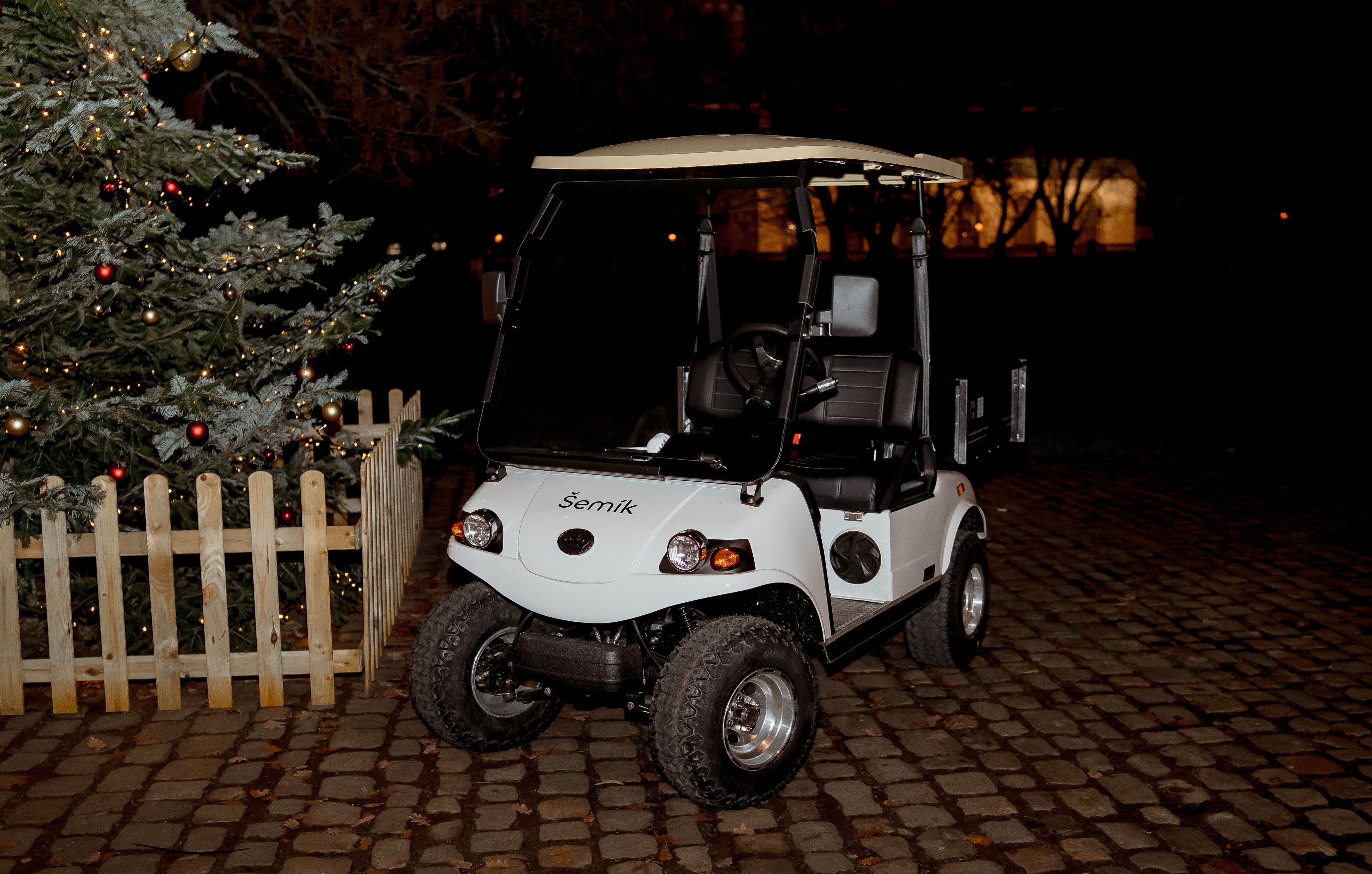 Electric cars for Vy&scaron;ehrad